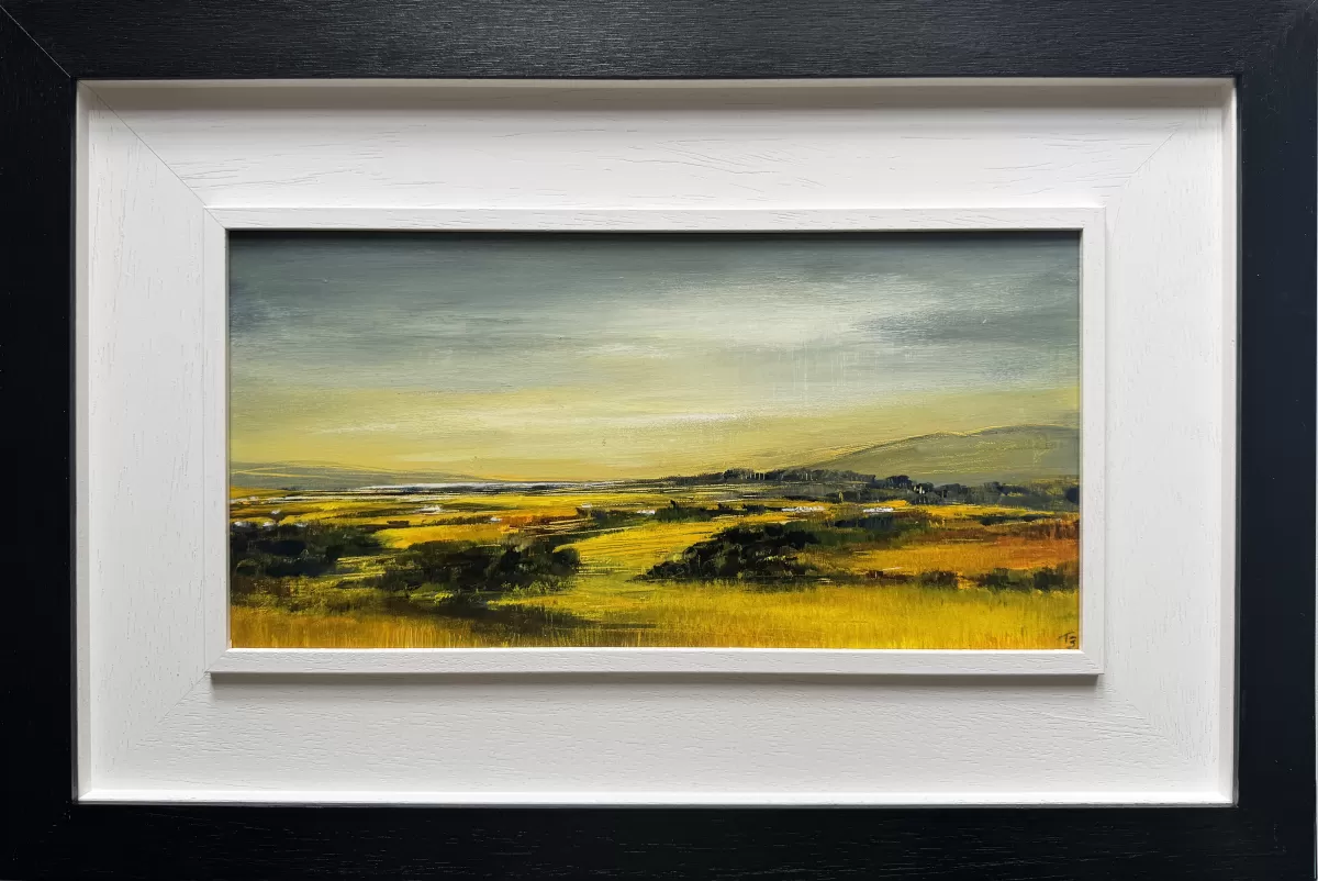 A Fleeting View - Criffel
